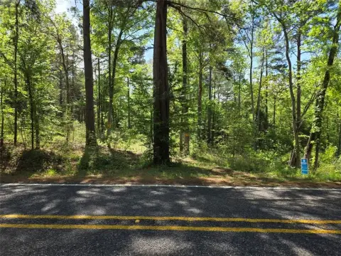 Unrestricted Land on FM 323