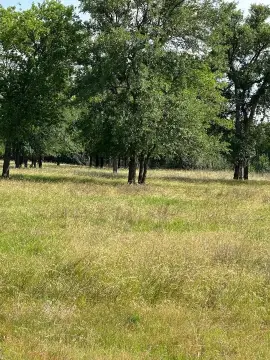 Fenced Farmland with Creek Adjoining
