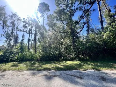 Residential Land in Punta Gorda