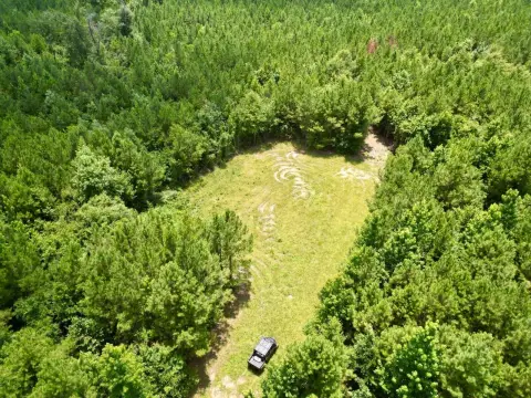 Pine Plantation Hunting Land