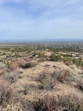 Pinon Hills Vacant Land