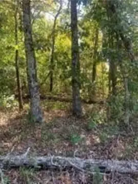 Bella Vista Land Opportunity