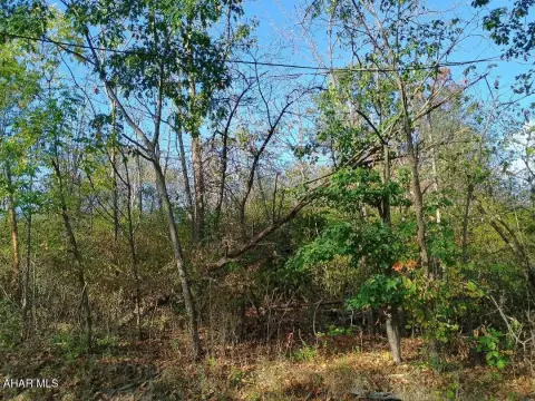 Residential Land in Altoona, PA
