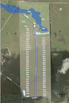 Residential Homesite with Mature Trees