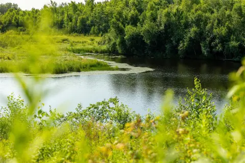 Hunting Land with Private Pond