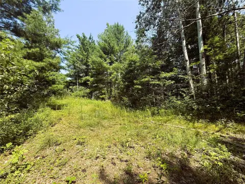 Riverfront Buildable Lot