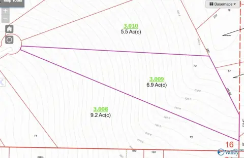 Wooded Hunting Land with Steep Slope