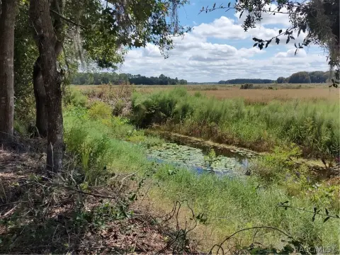 Waterfront Land