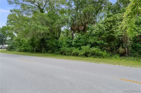 Wooded Two-Lot Land