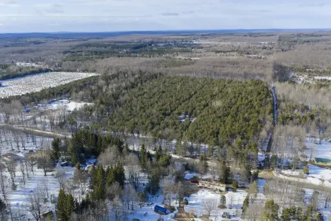 Wooded Acreage in Copemish, Michigan