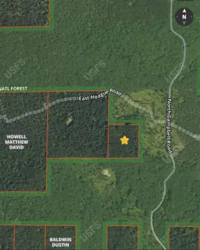 Hunting Land Near Federal Forest