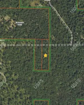 Wooded Land Near Hoags Lake