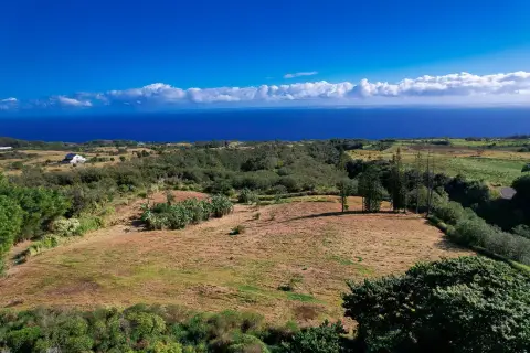 Hamakua Coast Ocean-View Parcel