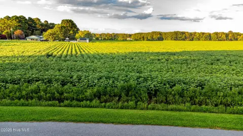 Waterfront Land Lot with River Views