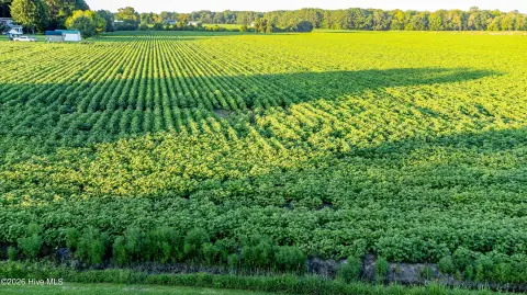 Waterfront Farmland Lot