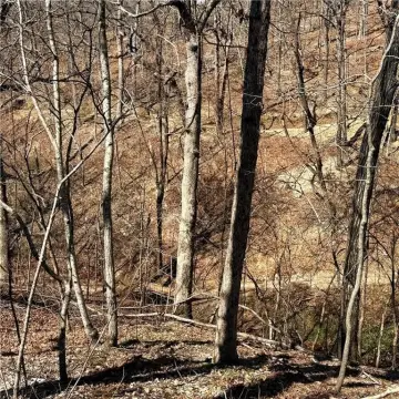 Residential Lot Near Lake Ann