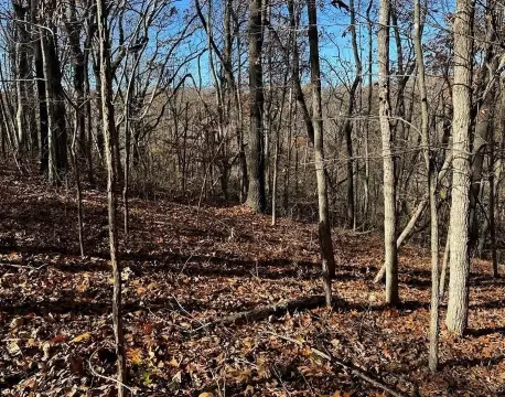 Wooded Lot Near Rogers, Arkansas