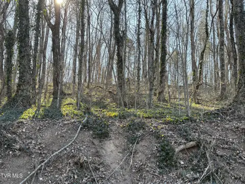 Unrestricted Acreage in Elizabethton, TN