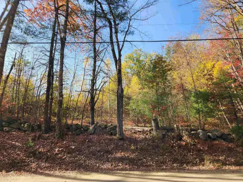 Loudon, NH Wooded Building Lot