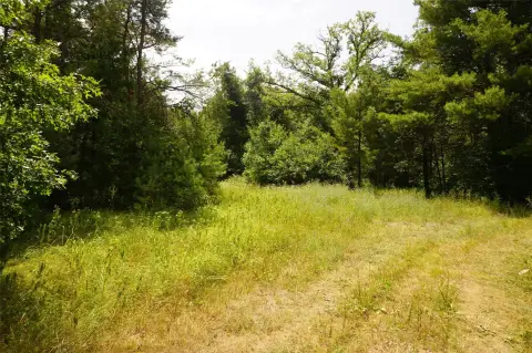 Recreational Hunting Land