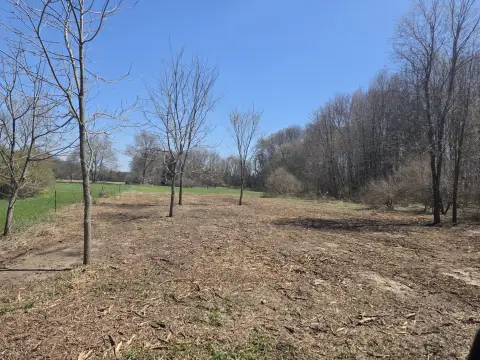 Cleared Acre Lot in White Cloud