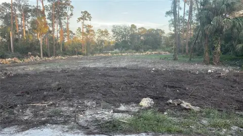 Land in Alva, Florida