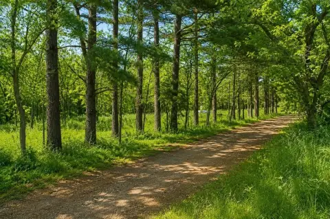 Wooded Agricultural Land Tract