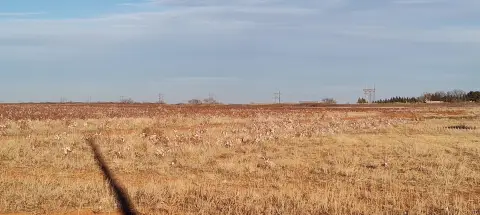 Residential Land in Wellman, Texas