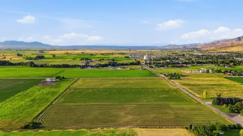 Cultivated Agricultural Land