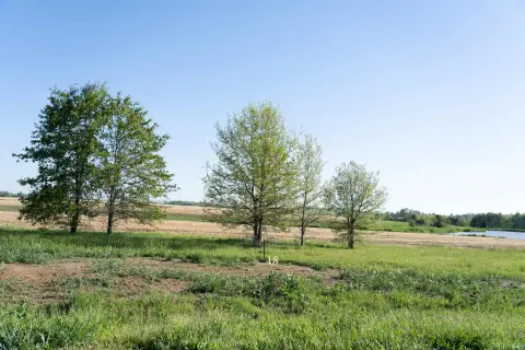 Residential Land in Warrick County