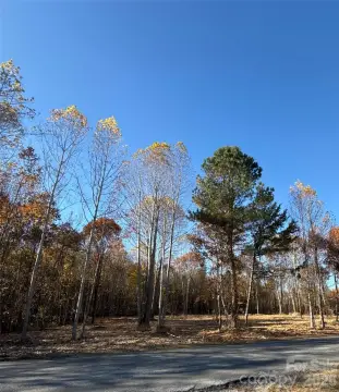 Unrestricted Land in Woodleaf, NC