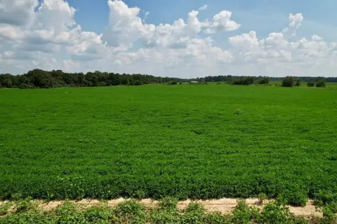 Residential Land Tract with Build Restrictions