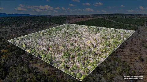 40 Acres Wooded Land