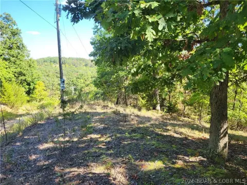 Wooded Land Near Lake Ozarks