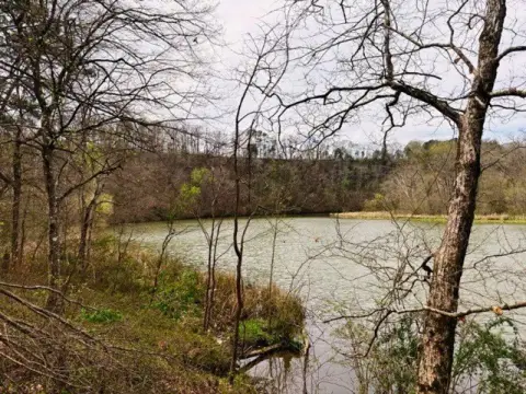 109-Acre Creekfront Hunting Land