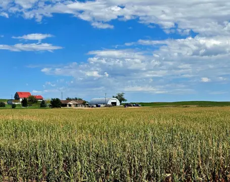 Irrigated Farm with Residence