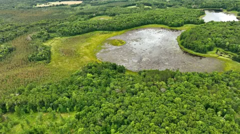Wooded Waterfront Land Parcel