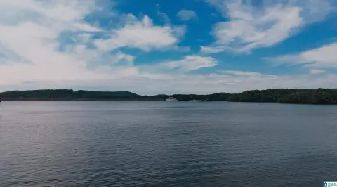 Neely Henry Lake Peninsula Acreage