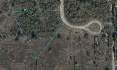 Horseshoe Beach Vacant Land