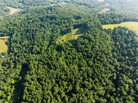 Private Wooded Hunting Tract