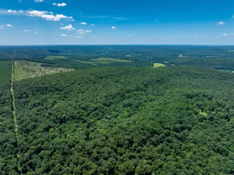 80 Acres Timber Tract