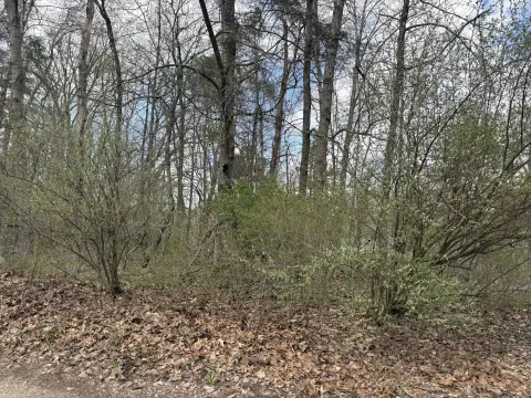 Waterfront Land on Rebeck Lake