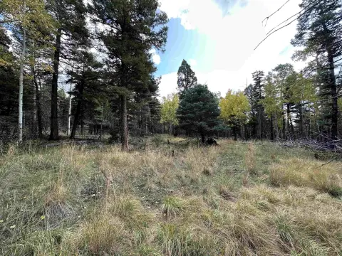 Angel Fire Land For Sale