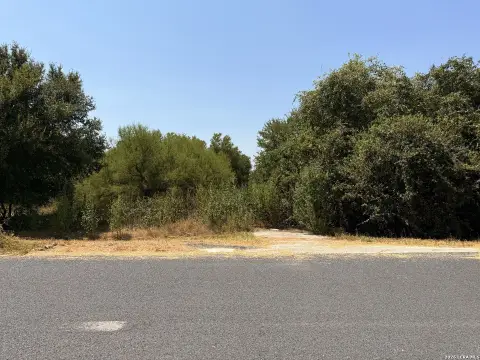 Wooded Land Parcel