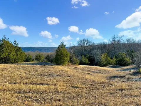 Wooded Hunting Acreage Tract
