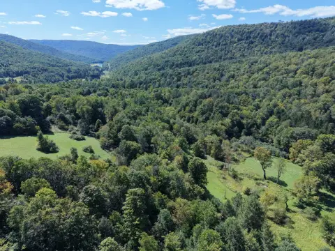 Open and Wooded Land