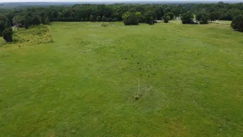 Fenced Pasture and Creek Land