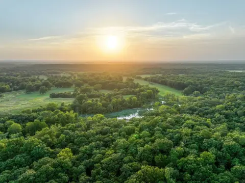 Secluded Hunting Land with Creek