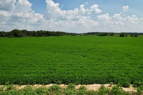 Residential Land Lot