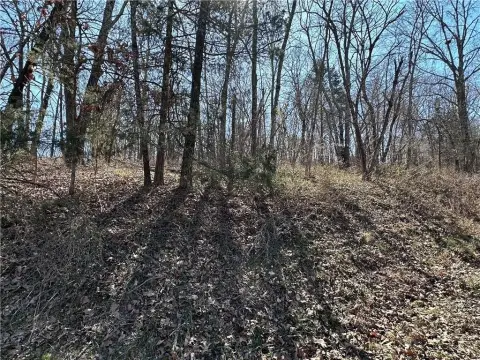 Wooded Lot in Bella Vista